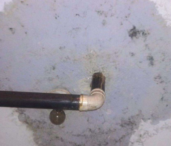武定卫生间防水哪家好